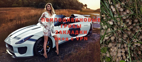 не бодяженный Белокуриха
