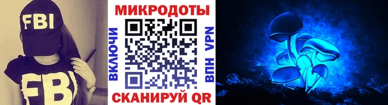 Псилоцибиновые грибы Cubensis  как найти   omg   Серафимович 